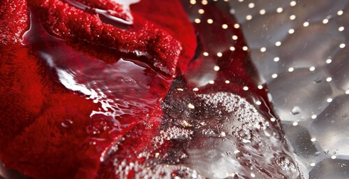 De kwaliteit van Miele