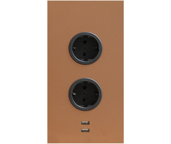 Caressi 2ST20 + USB Copper energiezuil - koper kleur