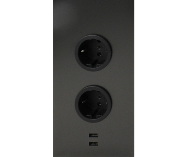 Caressi 2ST22 + USB Gun Metal gun metal energiezuil