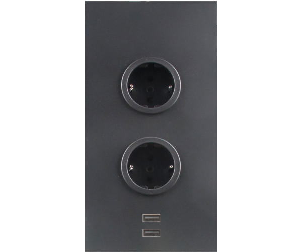 Caressi 2ST22 + USB Zwart zwarte energiezuil