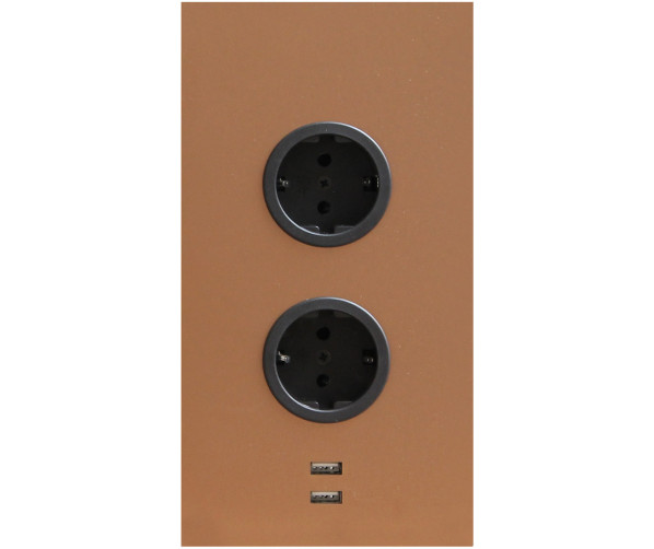 Caressi 2ST22 + USB Copper energiezuil - 2-voudig met USB
