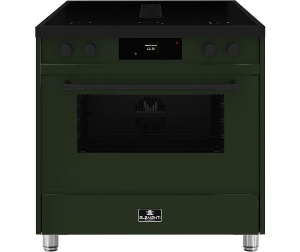 Elementi di Cucina IM9034-PG-MZ-B inductie fornuis met geïntegreerde afzuiging pine green