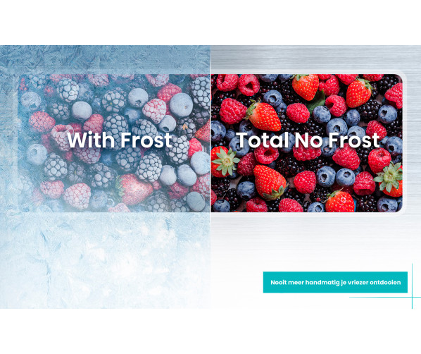 Etna VD8178DNF inbouw vrieskast / vriezer - nis 178 cm.