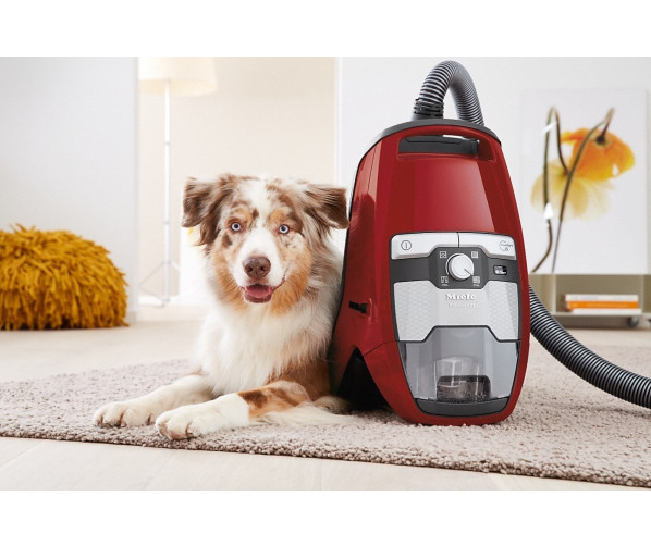 De Miele Blizzard CX1 Red Powerline heeft een vermogen van 890 Watt en is zakloos (dus geen stofzuigerzakken meer te kopen)