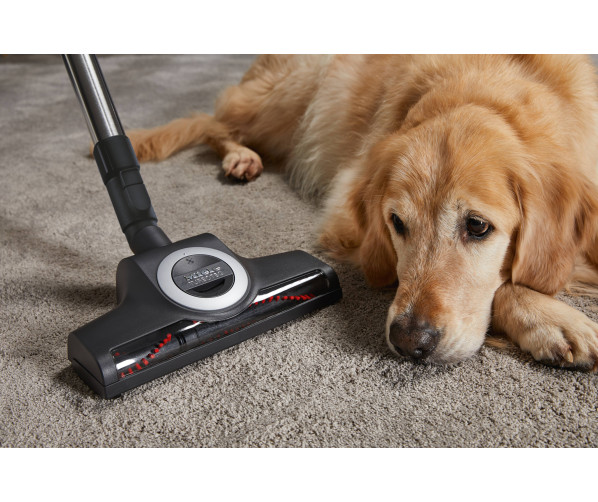 Miele Complete C3 Cat & Dog Flex PowerLine stofzuiger