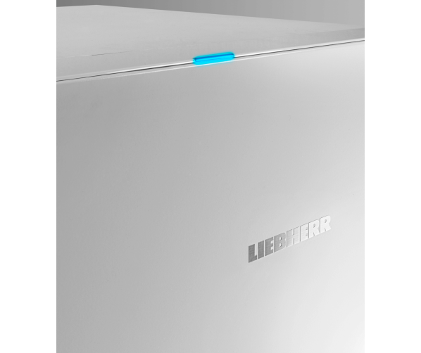 Liebherr FNb 4655-20 vriezer / vrieskast met energieklasse B