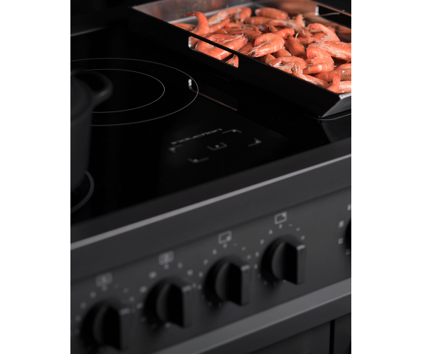 Steel EP10FF-5FIW NF inductie fornuis