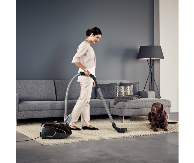 AEG VX6-2-PARK bruin stofzuiger met stofzak - 800 Watt