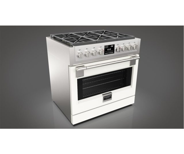 Fulgor Milano FSRC 3606 P MG ED 2F X gas fornuis - 91 cm. breed - rvs