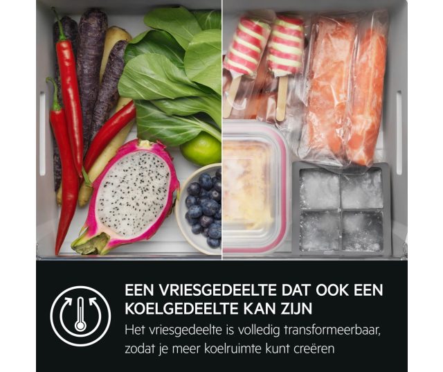 Vriesgedeelte bovenaanzicht met groenten links en vlees/ijs rechts