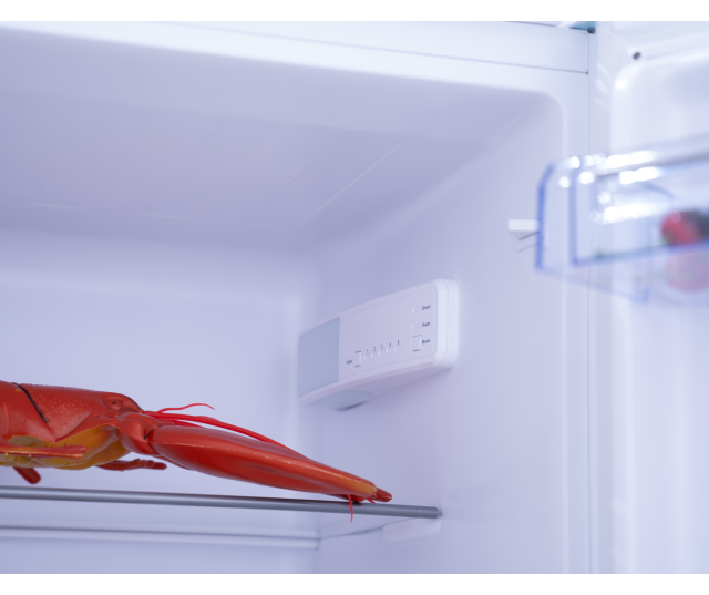Frilec BERLIN279-E-040D koelkast bedieningspaneel op deur met temperatuurregeling