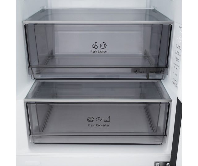 GBBS312CEV LG koelkast - Met apart regelbare temp.