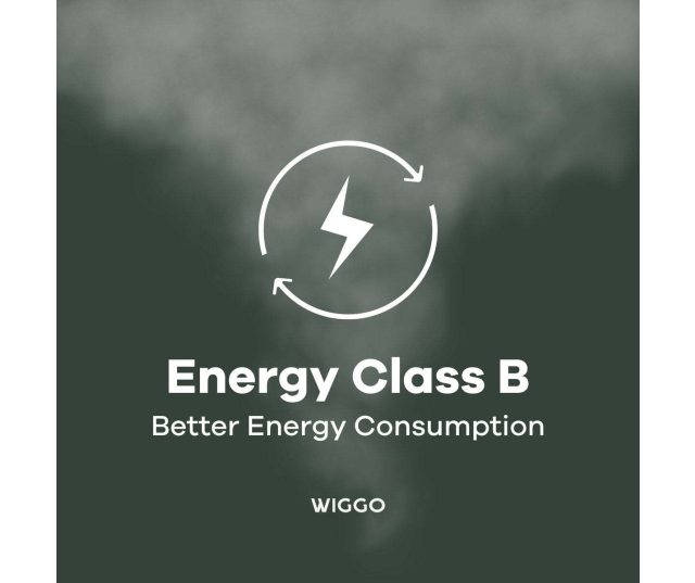 Wiggo WO_E909B Energy Class B label met energiebesparing symbool