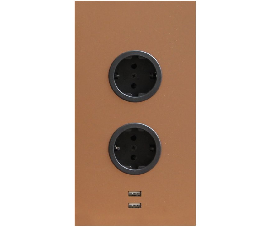 Caressi 2ST22 + USB Copper energiezuil - 2-voudig met USB