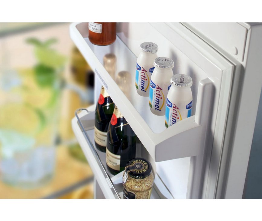 De heldere plafondverlichting benadrukt de comfortabele indeling en geeft goed zich op de levensmiddelen in de koelkast