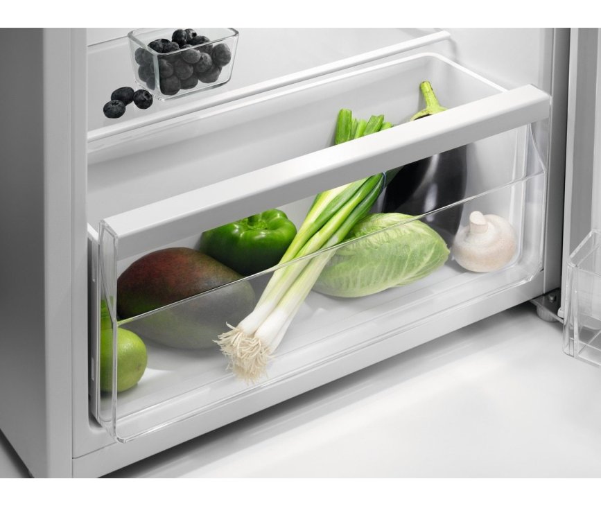 Zanussi ZEAN11FW0 tafelmodel koelkast