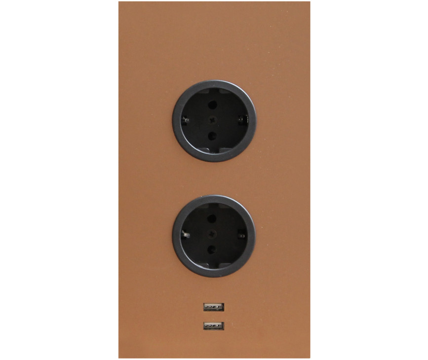 Caressi 2ST20 + USB Copper energiezuil - koper kleur
