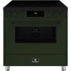 ELEMENTI DI CUCINA fornuis inductie EM9036-PG-MZ-B