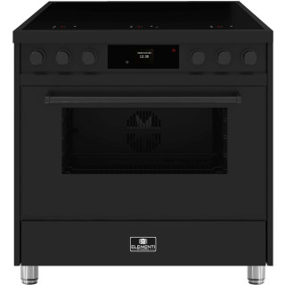 ELEMENTI DI CUCINA fornuis inductie EM9036-MZ-B