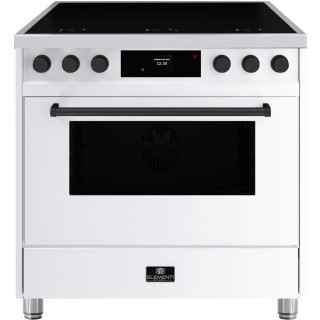 ELEMENTI DI CUCINA fornuis inductie EM9036-WT-IX-B