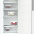 Miele FN 4322 D ws - 1 vrieskast / vriezer - nofrost - wit
