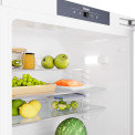 Pelgrim PKO3082 onderbouw koelkast 
