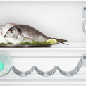 SIEMENS koelkast inbouw KI34VV22FF