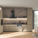 Whirlpool D2I HD524 A inbouw vaatwasser - stil 44 dB