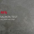 AEG BSE782220M stoomoven rvs inbouw