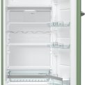 Praktisch is het degelijke interieur van de Etna KVV754GRO groen koelkast