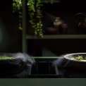 Falmec QUANTUM PRO EASY inbouw inductie kookplaat met afzuiging 