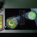 Falmec QUANTUM PRO EASY inbouw inductie kookplaat met afzuiging 