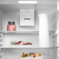 Liebherr Re 5020-20 vrijstaande koelkast wit