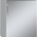 De TPesf1710 koelkast van LIEBHERR in roestvrijstaal met gesloten deur
