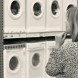 AEG T7DB83GP droger warmtepomp