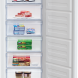 Beko RFSA210K40WN vrijstaand vrieskast - wit