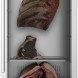 CASO DryAged Master 380 Pro DryAged koelkast