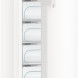 De Liebherr GNP3255 vrieskast / vriezer wit heeft een inhoud van 194 liter