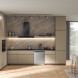 Whirlpool W7F HS51 X vaatwasser