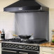 Falcon Professional 100 rvs achterwand