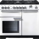Falcon PDL100DFCY/C wit gasstel met twee ovens, vooraanzicht