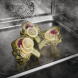 Miele DGC 7845 HC combi-stoomoven geopende deur met RVS interieur, stoomsproeier en gerechten op bakplaat