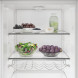 Whirlpool WHMLS 2411 W4E koelkast geopende deur bovensectie met glazen schappen en flessenrek