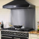 Falcon Mercury 100 rvs achterwand