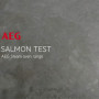 AEG BSE782220M stoomoven rvs inbouw