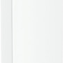 Liebherr FNe 4204-22 vrieskast wit