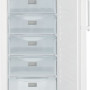 Het interieur van de Liebherr GNP3013 vrieskast wit