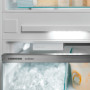 Liebherr ICNbsci 5173-22 inbouw koelkast