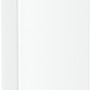 Liebherr RBe 5221-20 koelkast wit