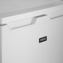 Zanussi ZEAN11EW0 tafelmodel koelkast met vriesvak
